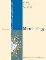 Nouvel article de l’équipe « Hélicases & ARN : mécanismes, ciblage et bio-mimétisme » publié dans le journal Microbiology