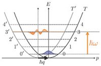 Une nouvelle interprétation de spectres de diffusion de neutrons