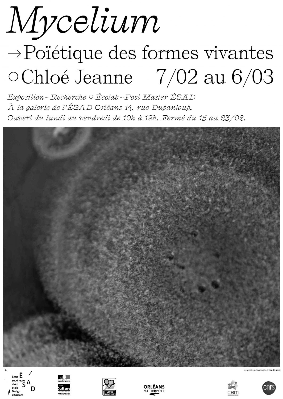 Art et science : exposition “Mycelium, poïétique des formes vivantes” du 7/02 au 6/03 à l’ESAD
