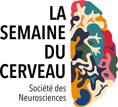 23e édition de la Semaine du cerveau – du 15 au 21 mars 2021