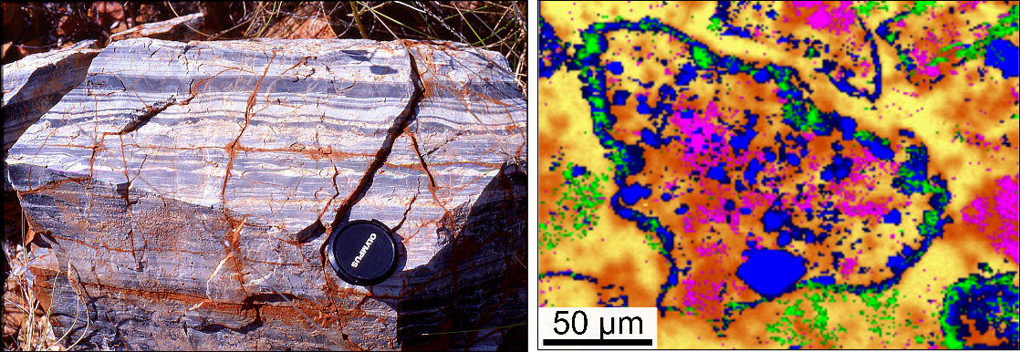 L’étude des fossiles terrestres dans les roches anciennes : une approche essentielle pour identifier d’éventuels indices de vie sur Mars