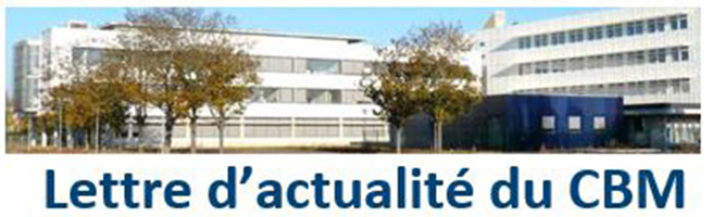 Lettre d’actualité du CBM n° 31