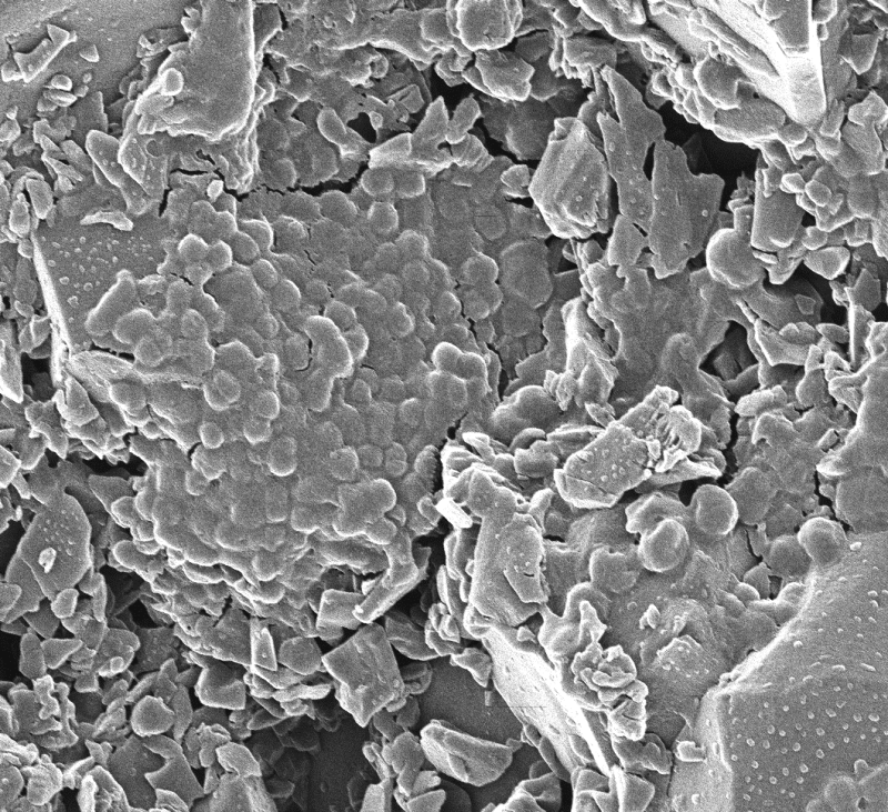 Searching for the earliest traces of life in the Solar System