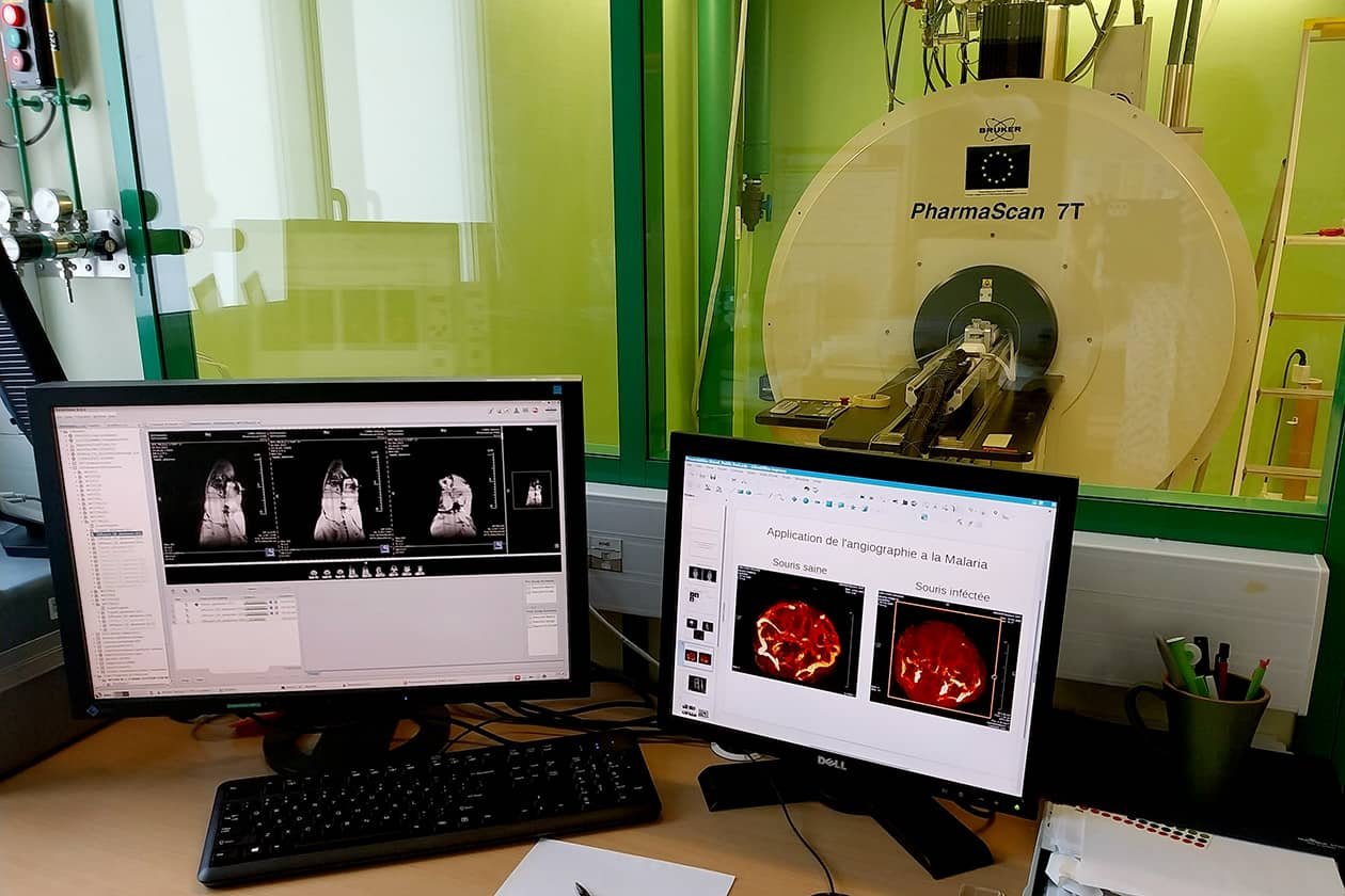 MRI preclinical