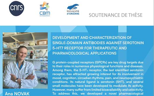 Poster PhD defense Ana Novak