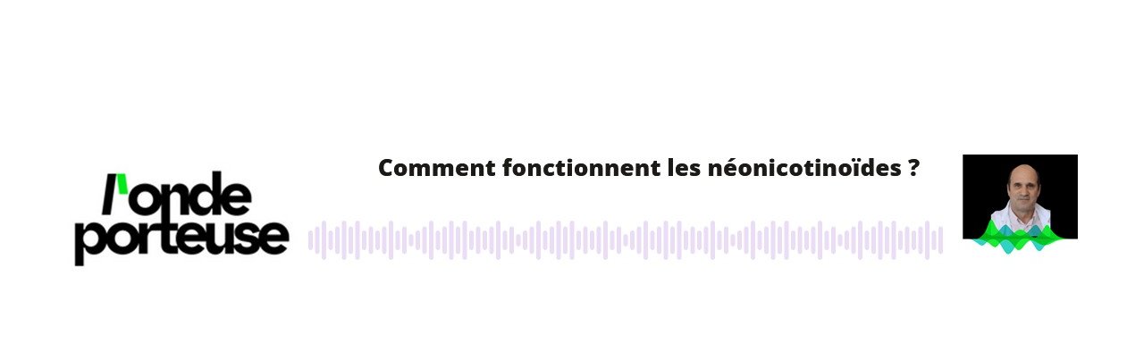 Bannière onde porteuse