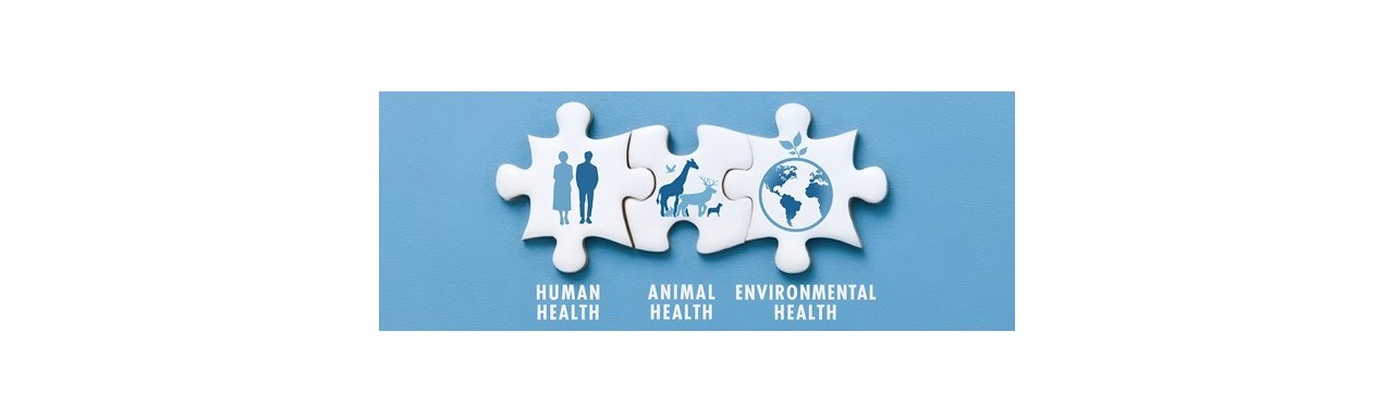 Bannière one health
