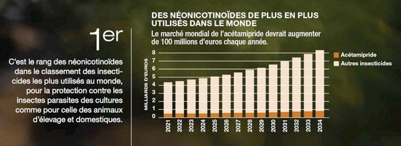 Image de culture de betterave à sucre