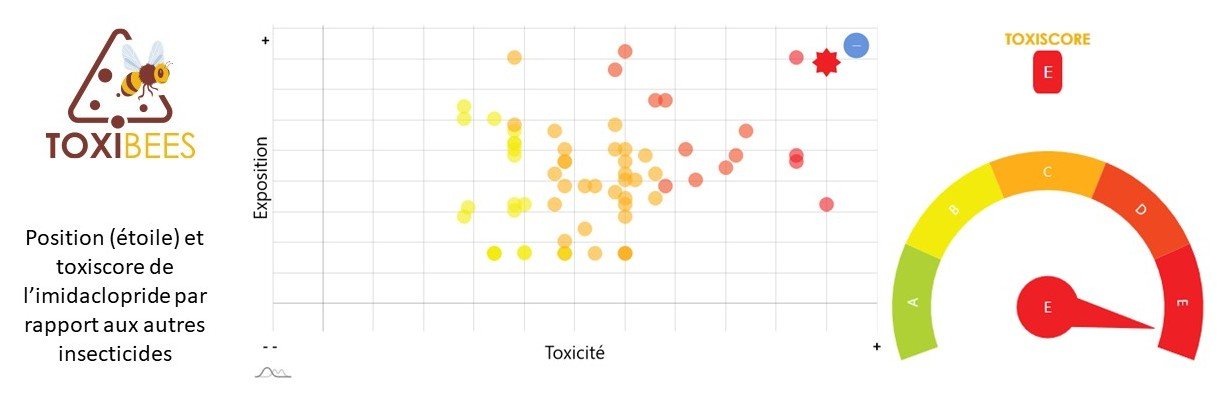 Bannières et images