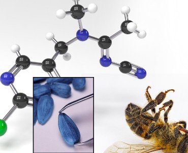 Un article du numéro d'octobre 2025 de la revue Epsiloon qui reprend les aspects chronologiques des néonicotinoïdes en France.