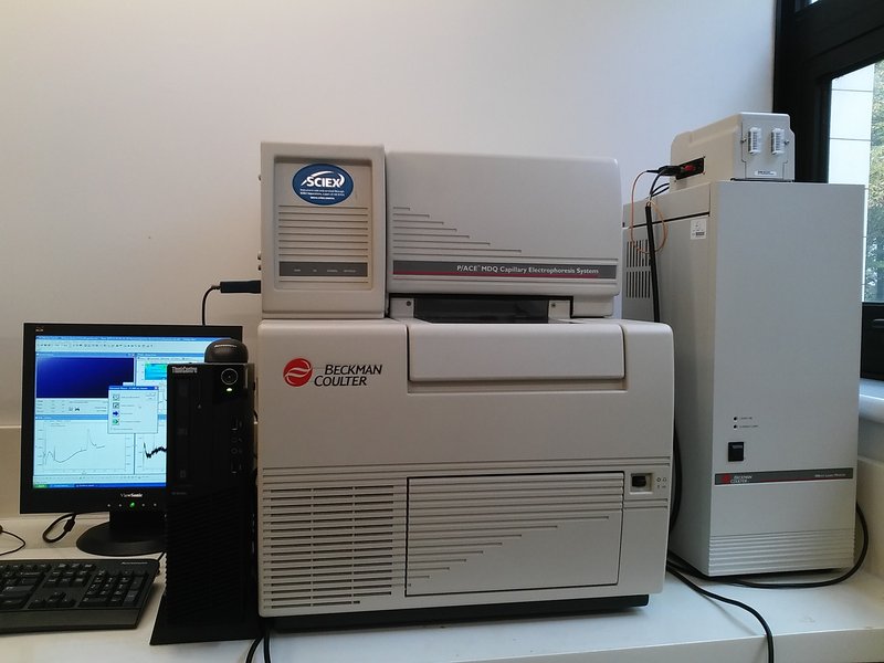 capillary electrophoresis - Beckman P/ACE MDQ