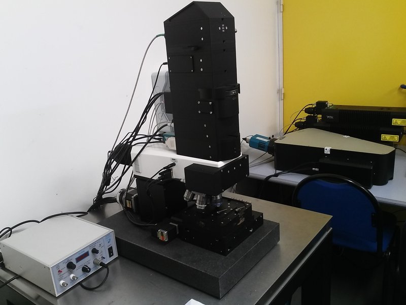Raman spectrometer - WITek