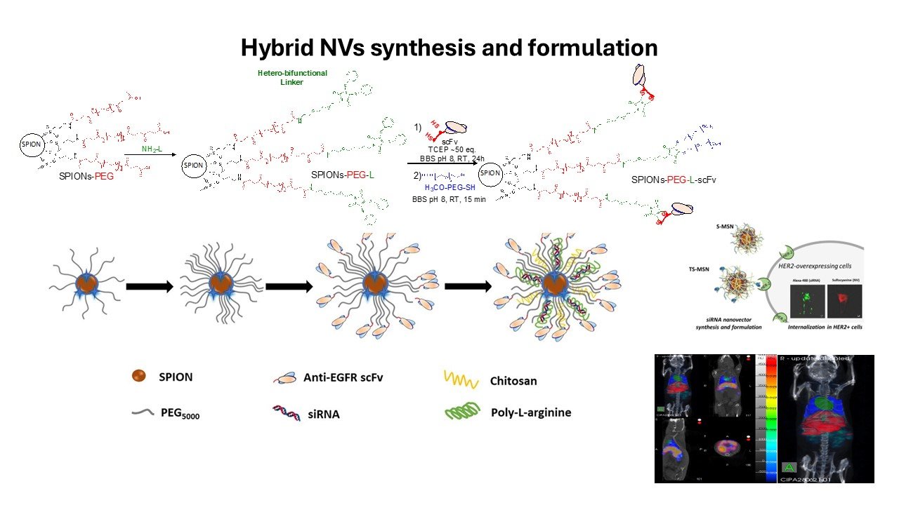 Hybrid NVs synthesis and formulation