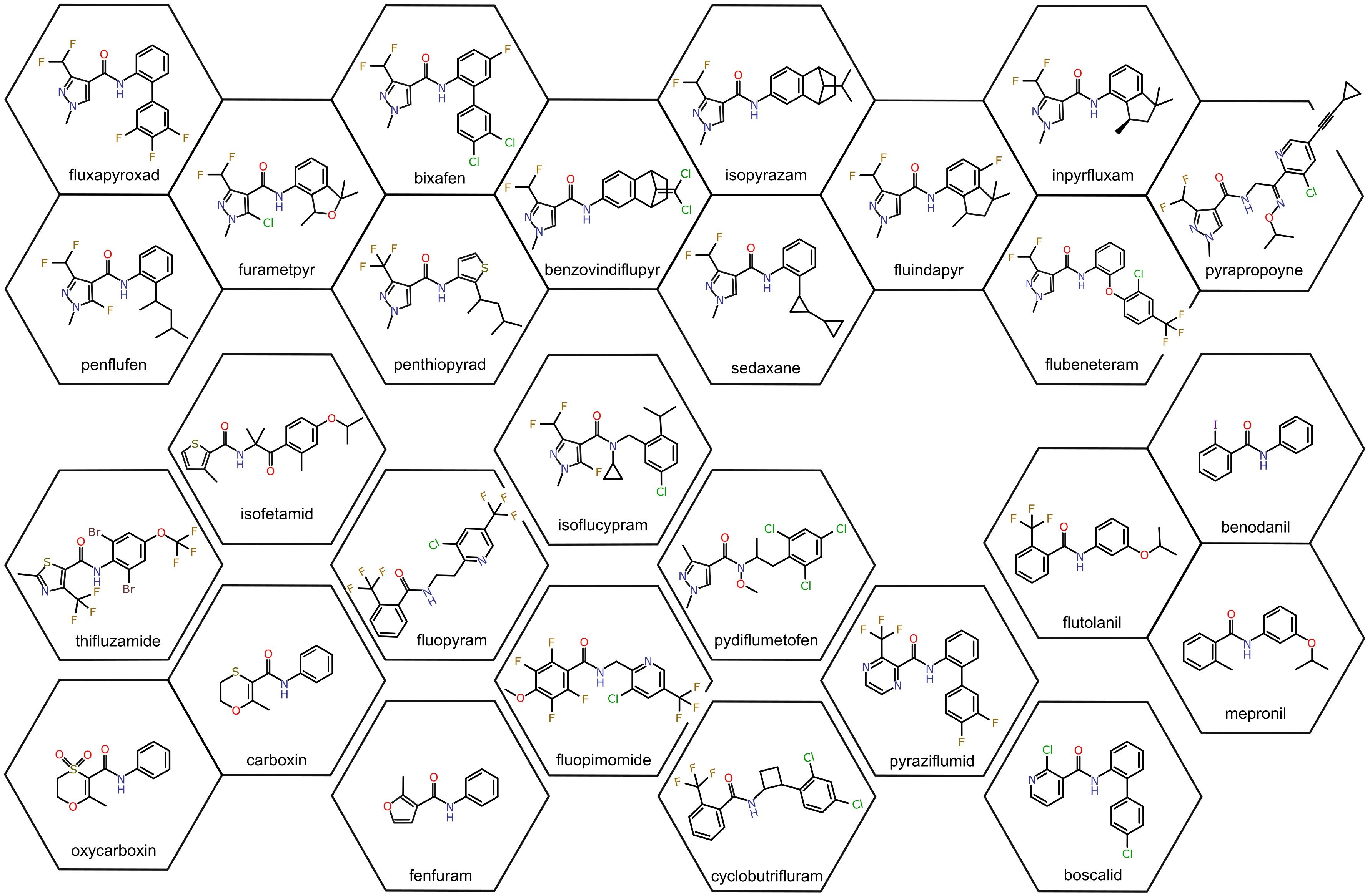 Figure 1. Structural overview of SDHI fungicides