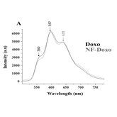 Liposomes-scFv-Met-Dox