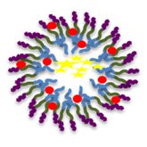 polymeric nanomicelles