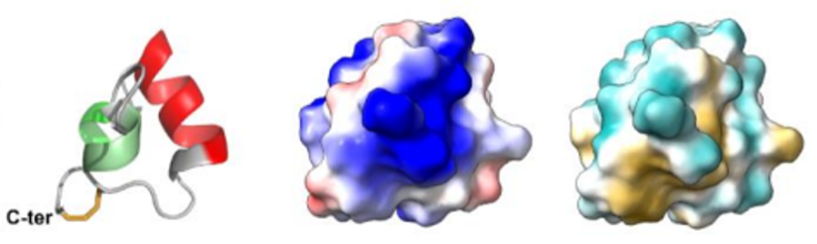 NMR of Biomolecules Part2 toxins -Ant toxins