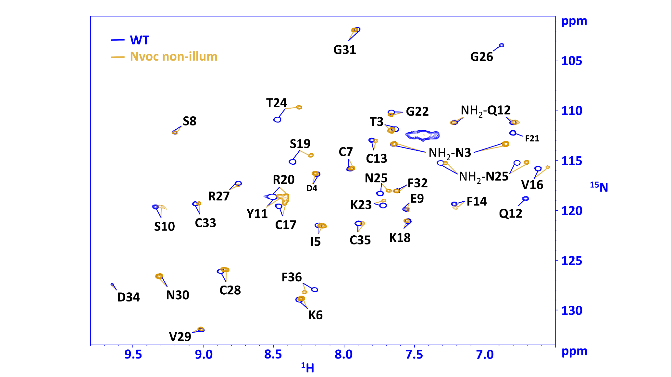 NMR of Biomolecules Part2 toxins -BeKm