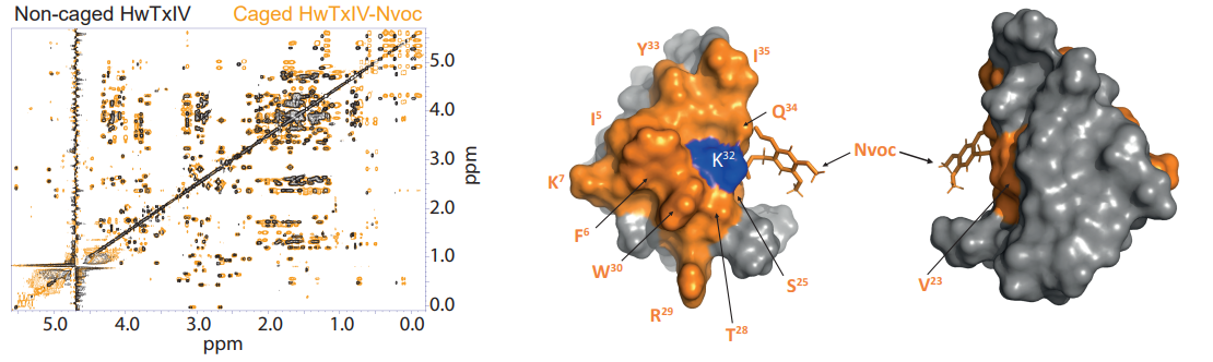 NMR of Biomolecules Part2 toxins -Huwentoxin