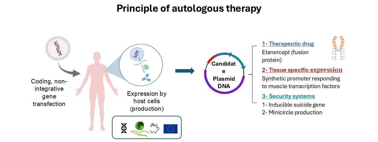 Principle of autologous therapy
