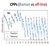 Raman-PAT of a CHO cells culture in bioreactor - CPP