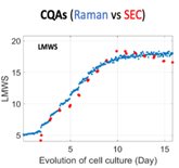 Raman-PAT of a CHO cells culture in bioreactor - CQA