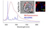 SERS&Fluo maps of hybrid NPs in cancer cells