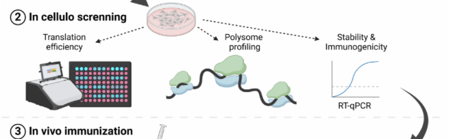 Screenshot 2025-07-27 at 10.09.06