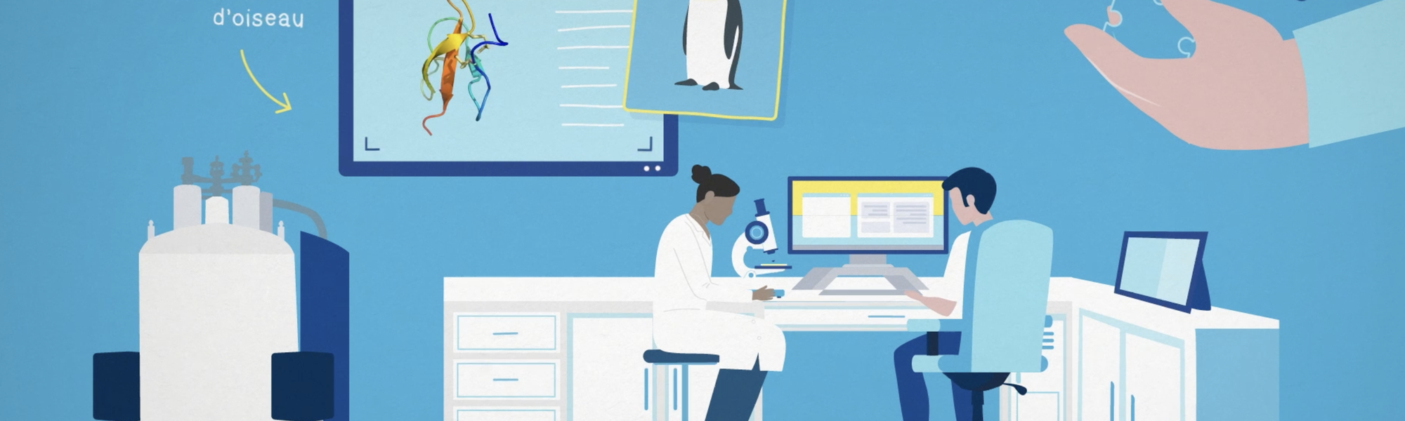 illustration vidéo peptides