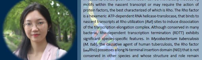 affiche soutenance THUY