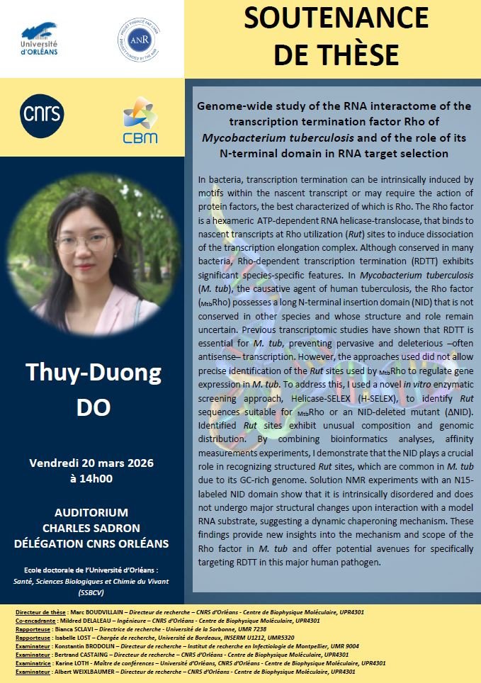 affiche soutenance THUY