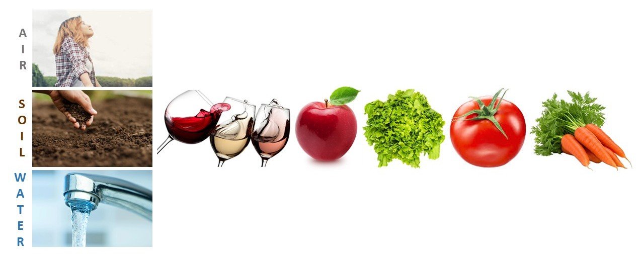 air sol eau fruits legumes 2 GB