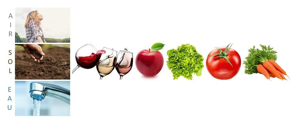 air sol eau fruits legumes 2