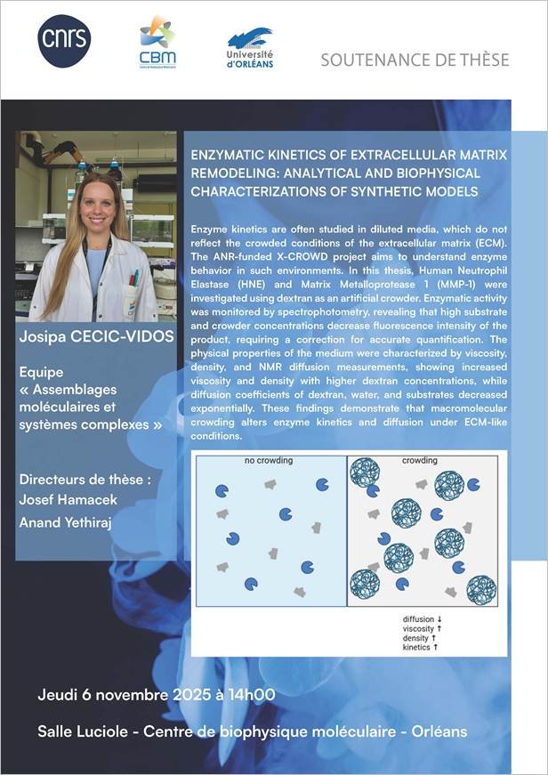 Josipa-Thesis-Defence