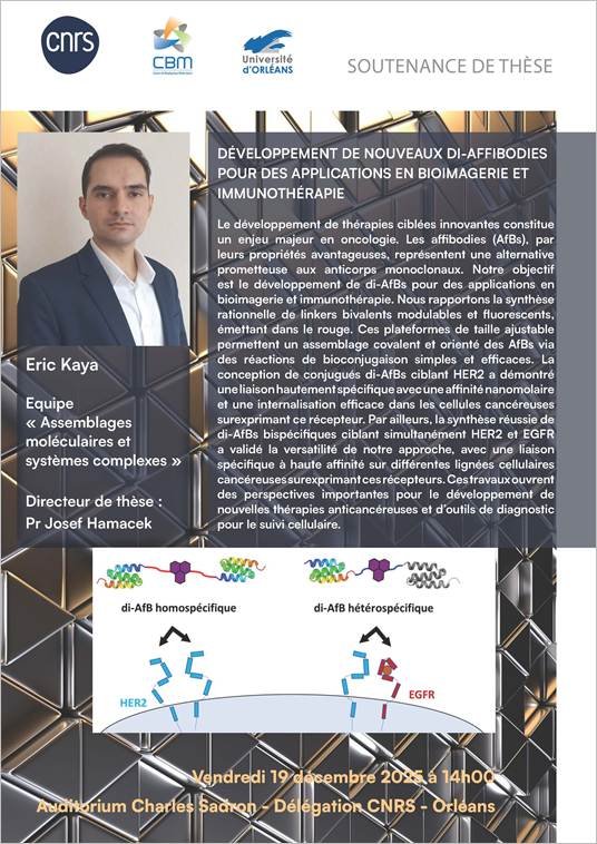 Affiche d'annonce de These d'Eric Kaya