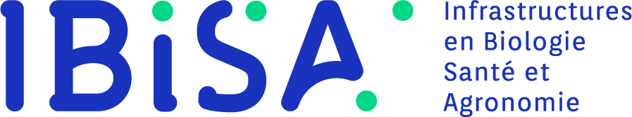 logo_ibisa