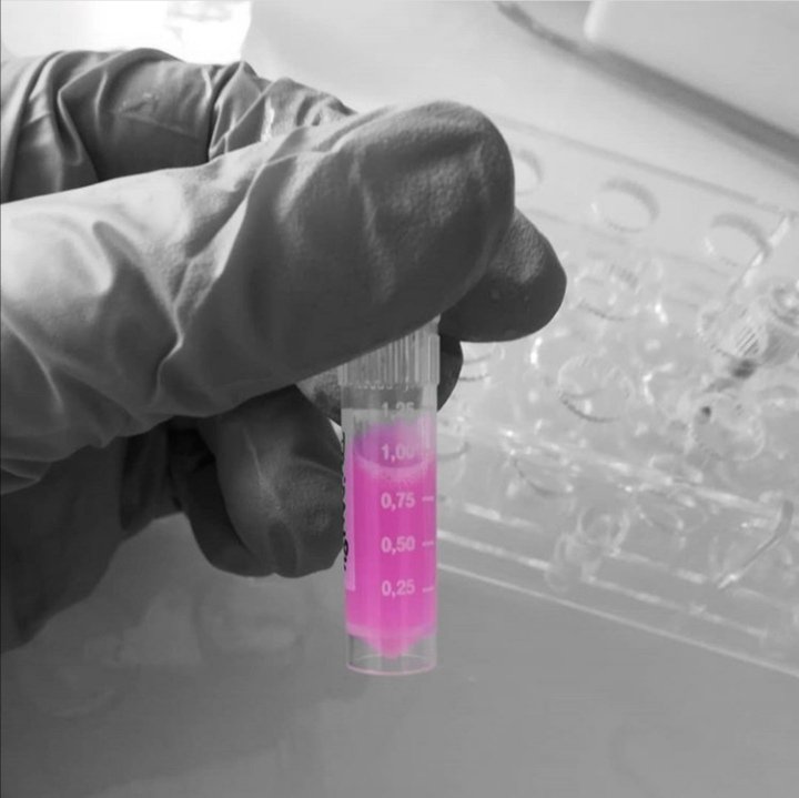 tube colore C Virginie Malard